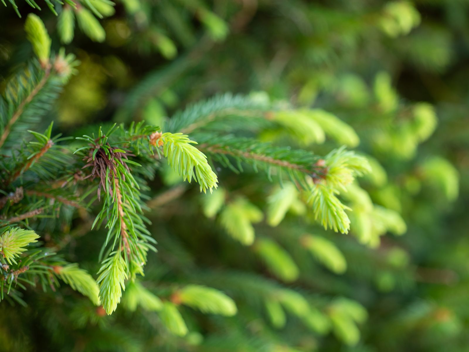 Datenschutzerklärung